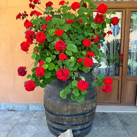 Romani 3* Madonna di Fornelli