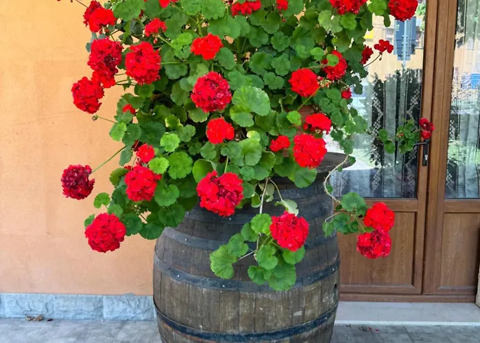 Romani 3* Madonna di Fornelli